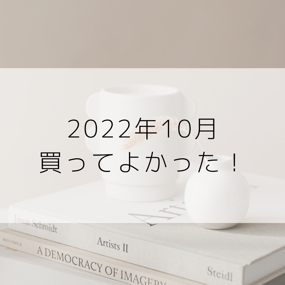 購入品】2022年10月買ってよかったもの5選 ！ - yopilog