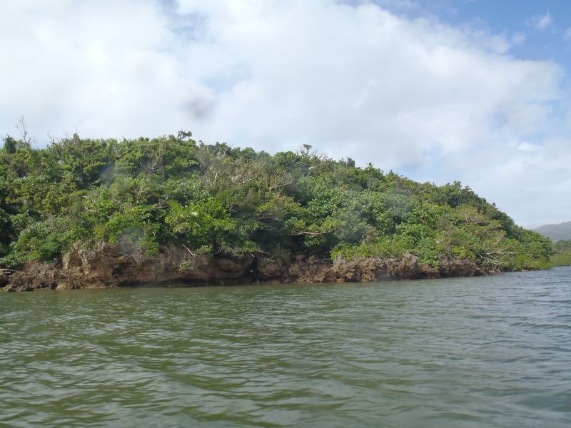 20100914_iriomote005.jpg