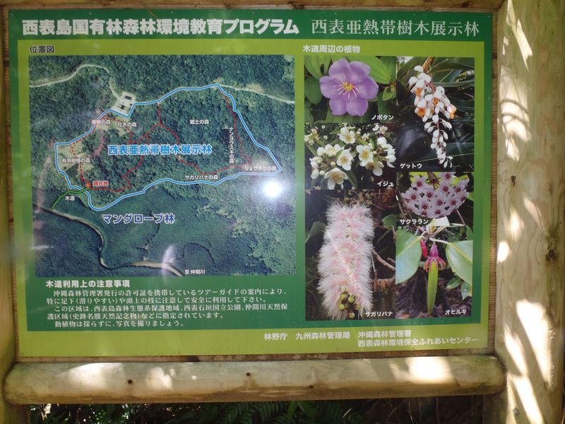 20100914_iriomote031.jpg