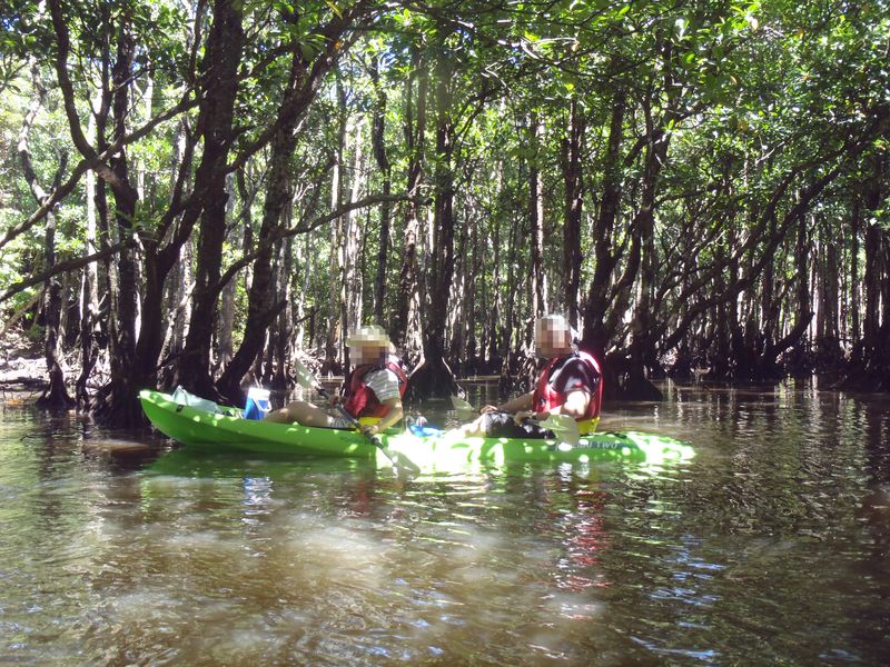 20100914_iriomote041.jpg