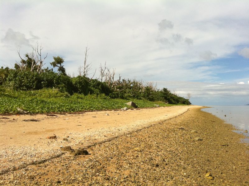20100914_iriomote091.jpg