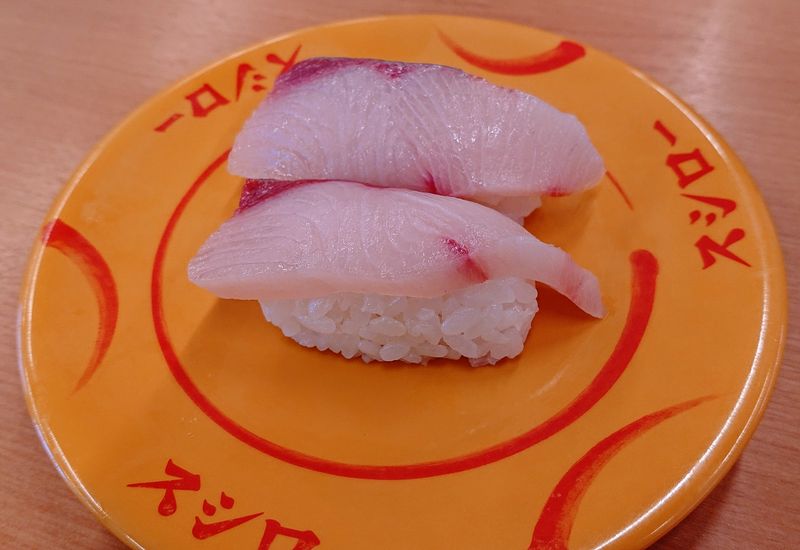 寒ぶり食べないと よれよれ将軍のよれよれ日記
