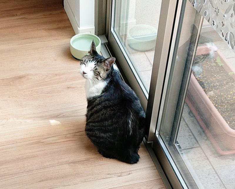 f:id:yoreyoreshogun:20200430235805j:plain