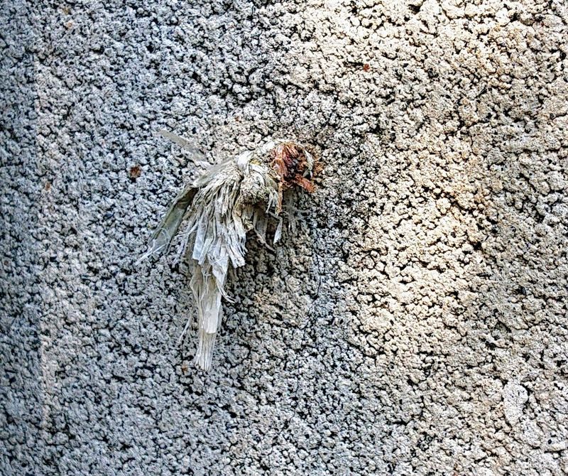 f:id:yoreyoreshogun:20200430235842j:plain