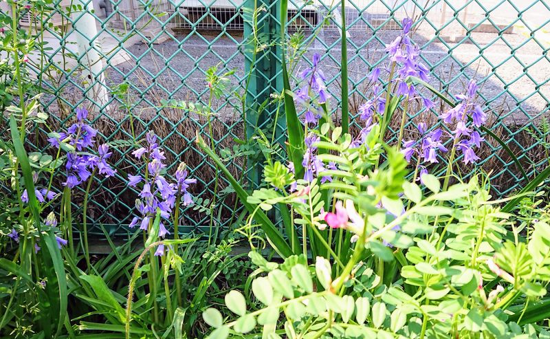 f:id:yoreyoreshogun:20200430235847j:plain