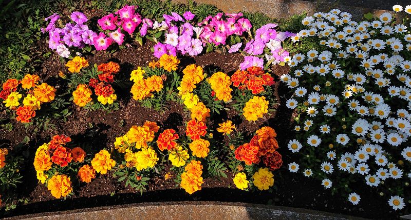 f:id:yoreyoreshogun:20200430235902j:plain