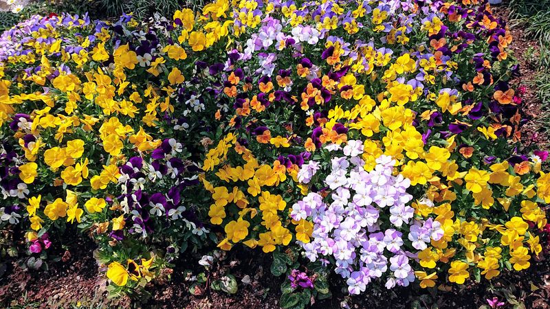 f:id:yoreyoreshogun:20200430235914j:plain