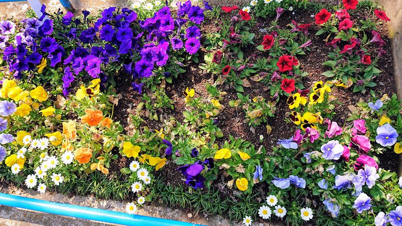 f:id:yoreyoreshogun:20200430235917j:plain