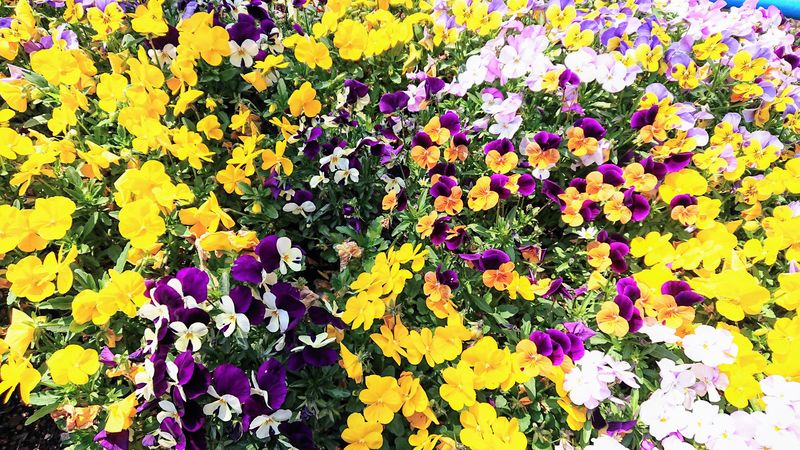 f:id:yoreyoreshogun:20200430235923j:plain