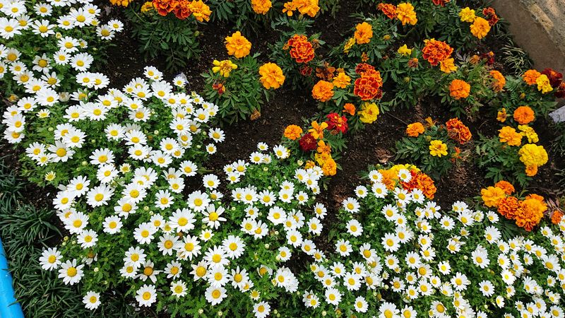 f:id:yoreyoreshogun:20200430235932j:plain