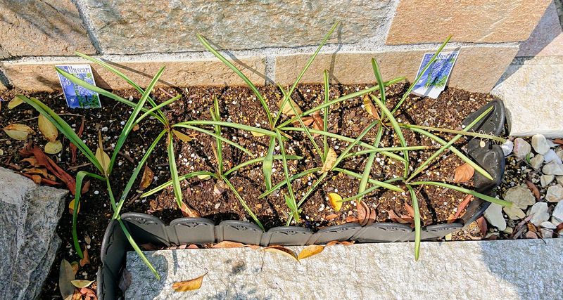 f:id:yoreyoreshogun:20200430235943j:plain