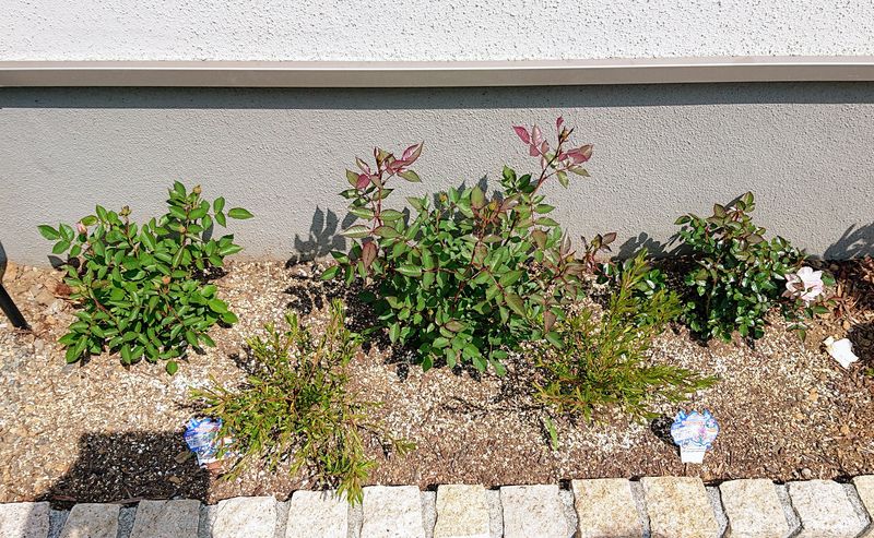 f:id:yoreyoreshogun:20200430235951j:plain