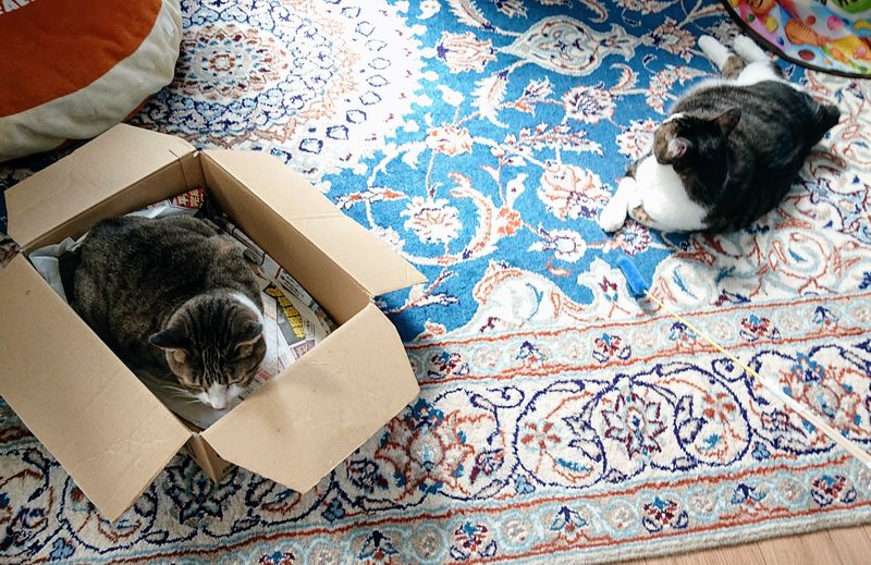 f:id:yoreyoreshogun:20200501001709j:plain