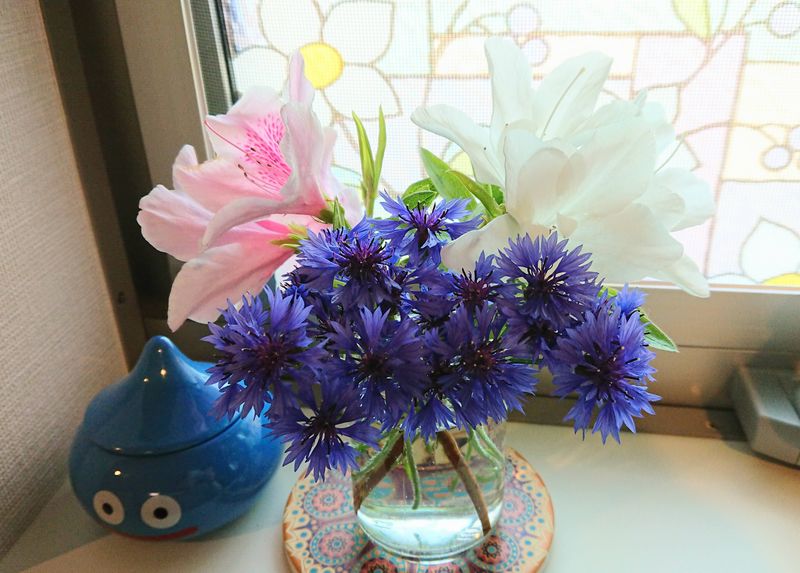 f:id:yoreyoreshogun:20200501001723j:plain