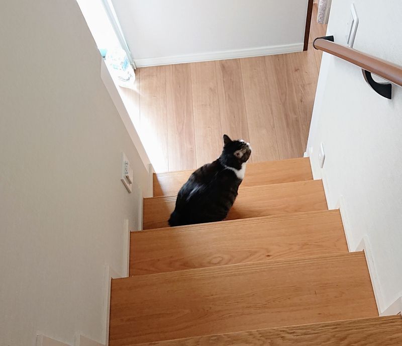 f:id:yoreyoreshogun:20200501001745j:plain