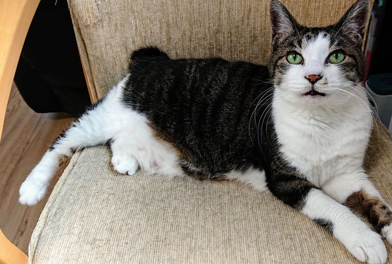 f:id:yoreyoreshogun:20200501001824j:plain