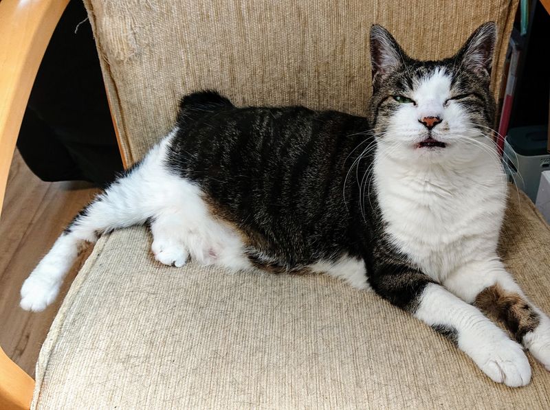 f:id:yoreyoreshogun:20200501001840j:plain