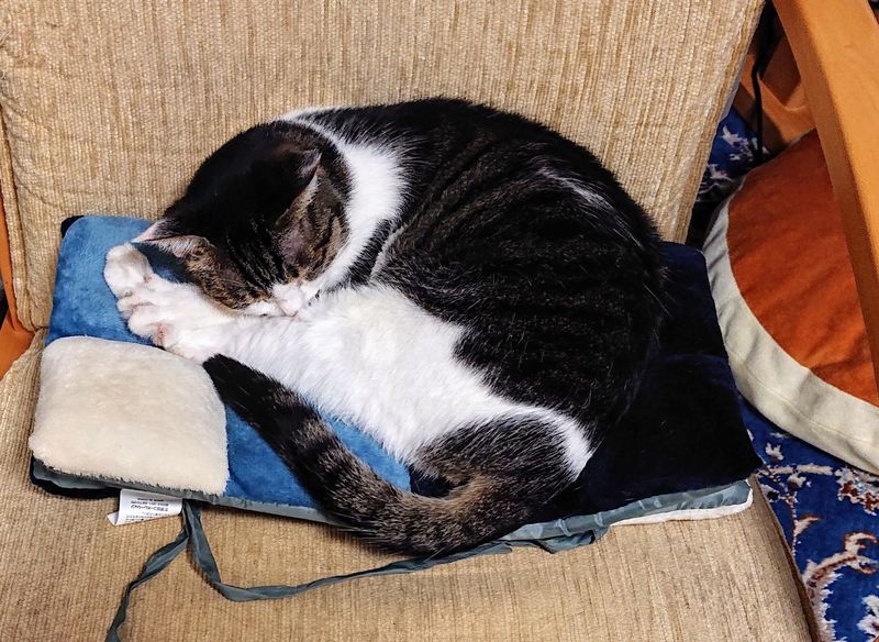 f:id:yoreyoreshogun:20200501001906j:plain