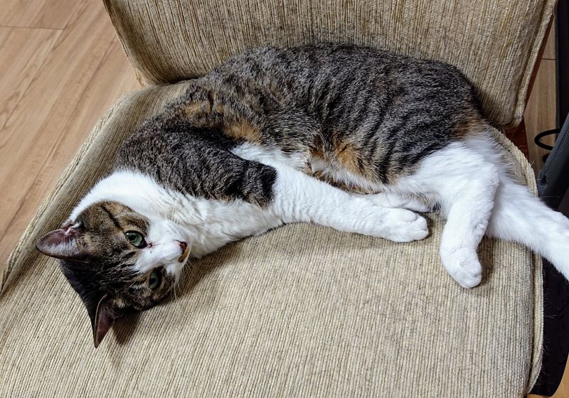 f:id:yoreyoreshogun:20200501001912j:plain