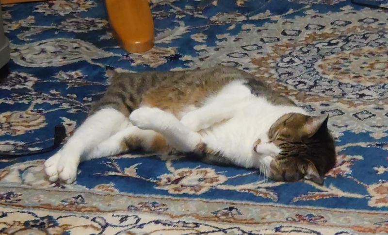 f:id:yoreyoreshogun:20200901095316j:plain