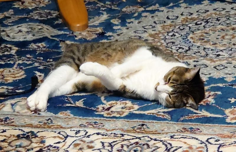 f:id:yoreyoreshogun:20200901095320j:plain