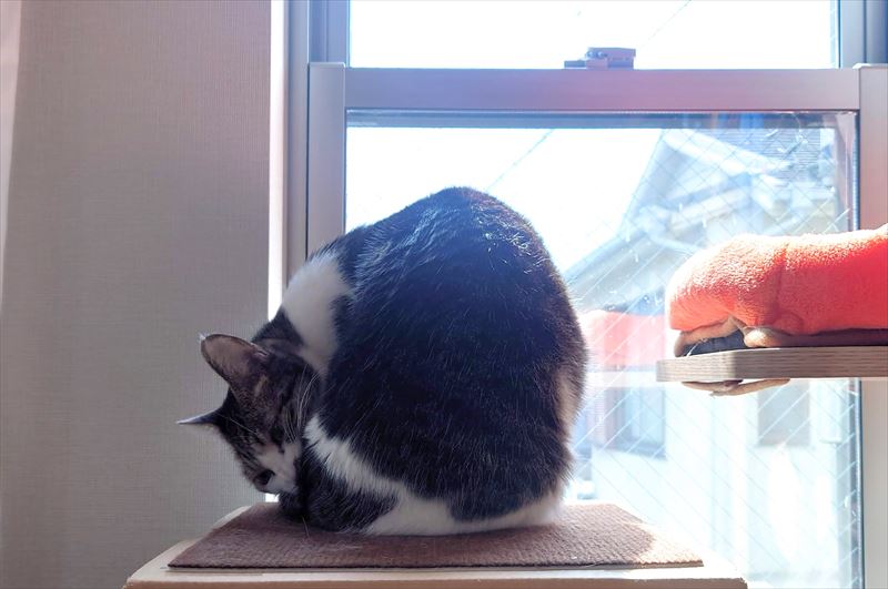 f:id:yoreyoreshogun:20210406185958j:plain