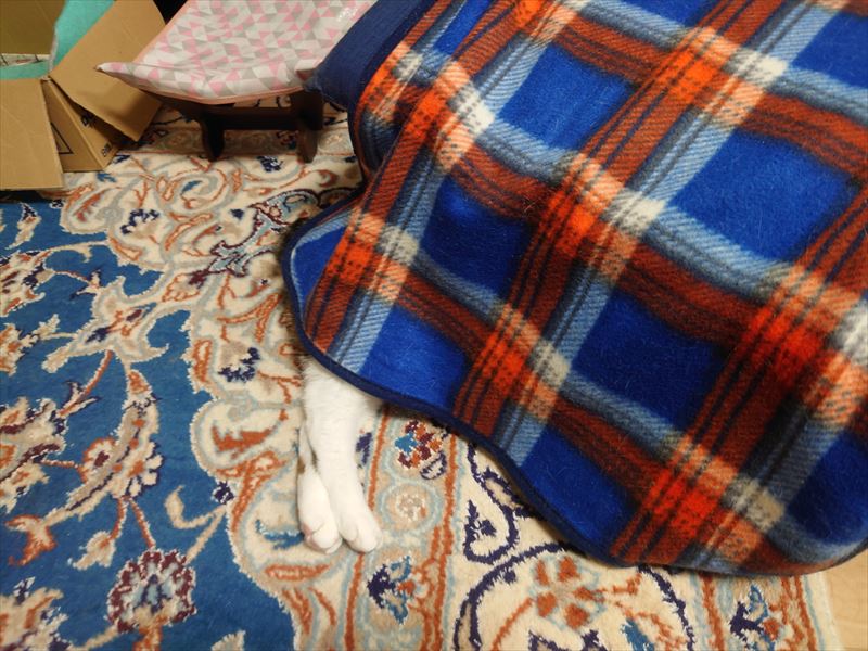 f:id:yoreyoreshogun:20210406190203j:plain