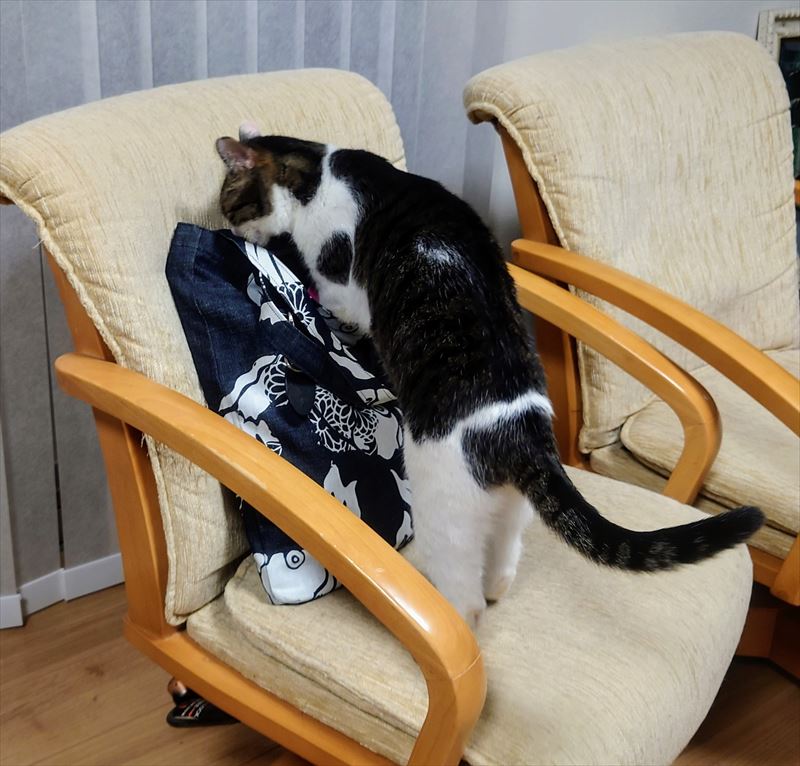 f:id:yoreyoreshogun:20210406190210j:plain