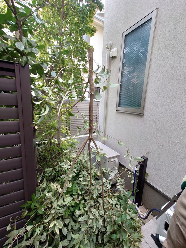 f:id:yoreyoreshogun:20210428121157j:plain