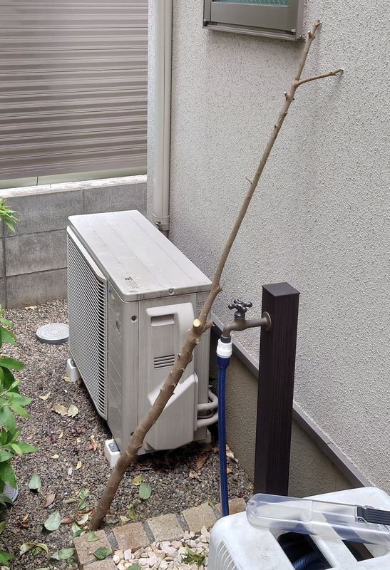 f:id:yoreyoreshogun:20210428121200j:plain