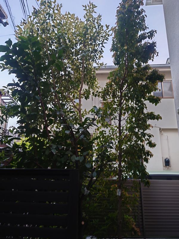 f:id:yoreyoreshogun:20210428121203j:plain