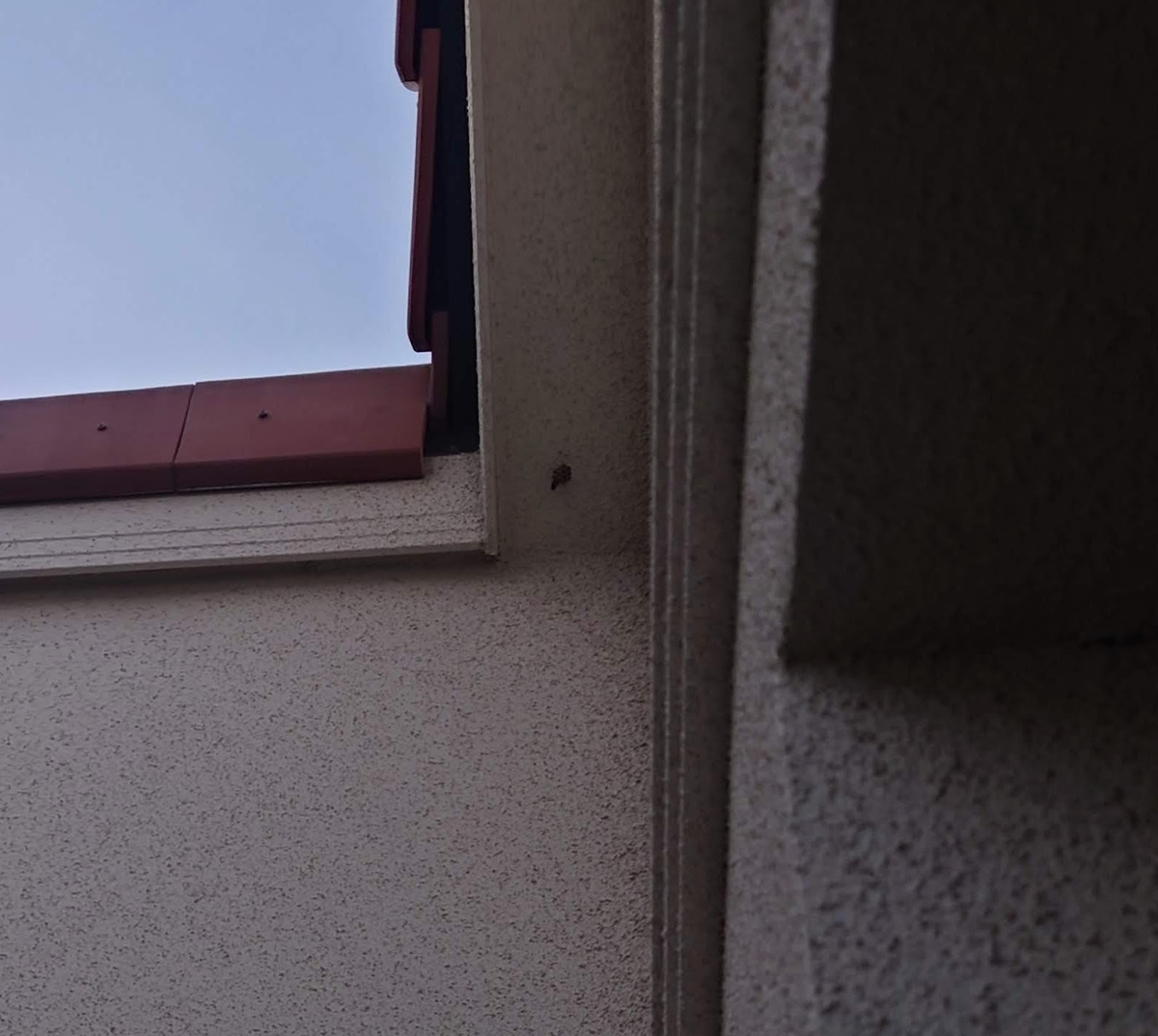 f:id:yoreyoreshogun:20210428121207j:plain