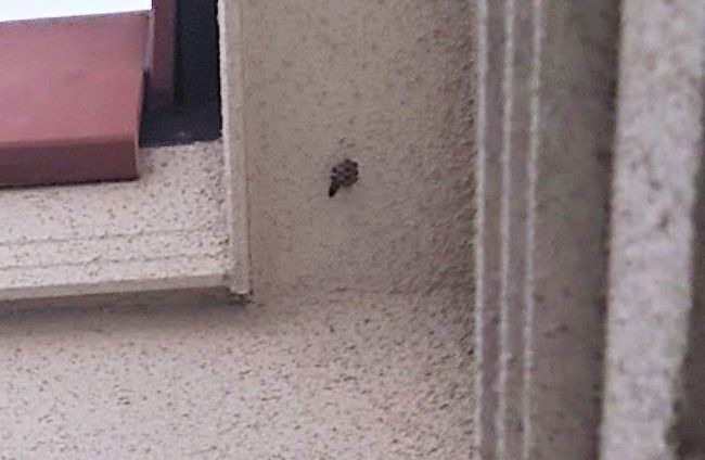 f:id:yoreyoreshogun:20210428121212j:plain