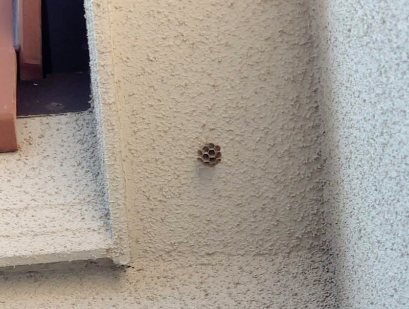 f:id:yoreyoreshogun:20210428123846j:plain