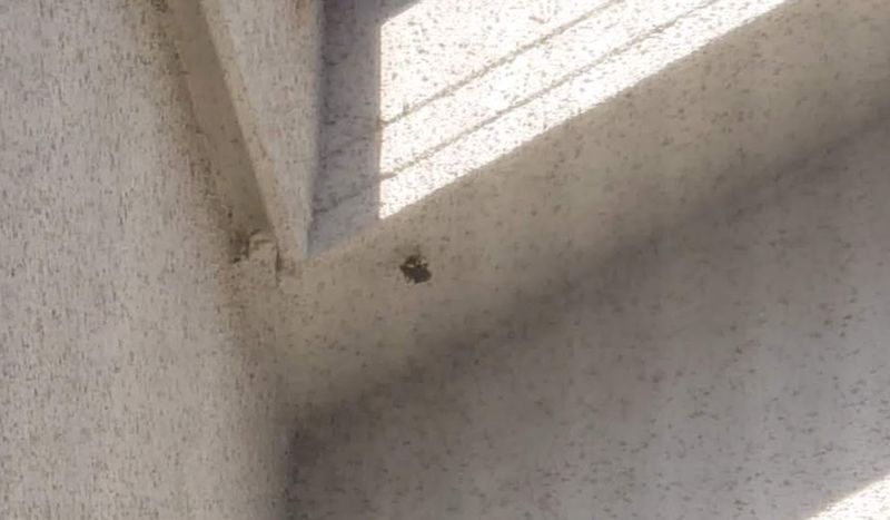 f:id:yoreyoreshogun:20210430230724j:plain