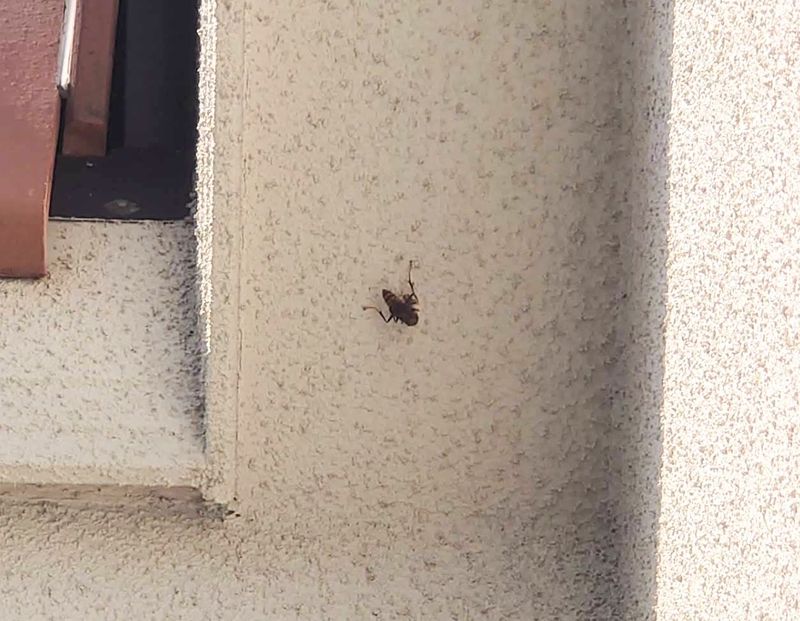 f:id:yoreyoreshogun:20210430230728j:plain