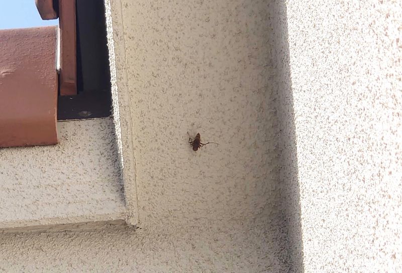 f:id:yoreyoreshogun:20210430230733j:plain