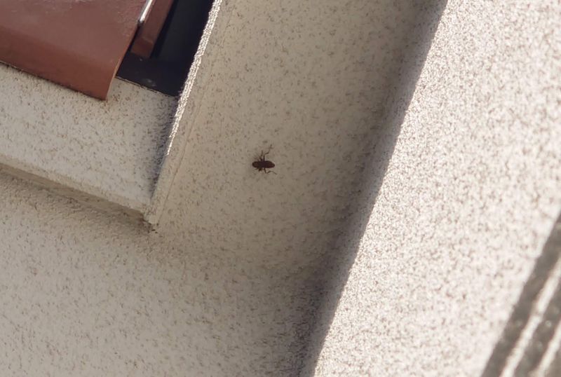 f:id:yoreyoreshogun:20210430230736j:plain