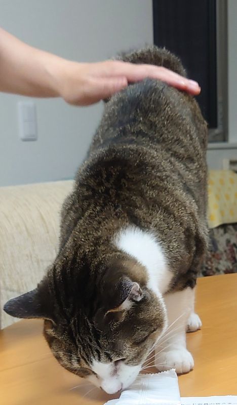 f:id:yoreyoreshogun:20210430232406j:plain