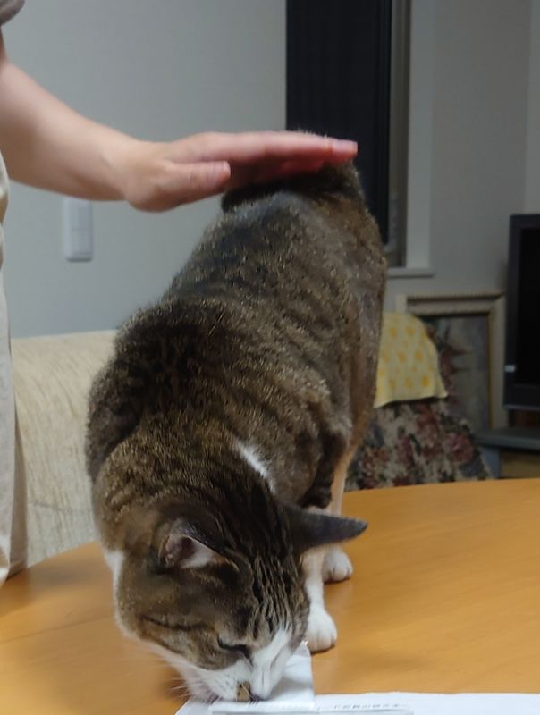 f:id:yoreyoreshogun:20210430232411j:plain