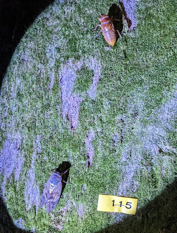 f:id:yoreyoreshogun:20210925173749j:plain