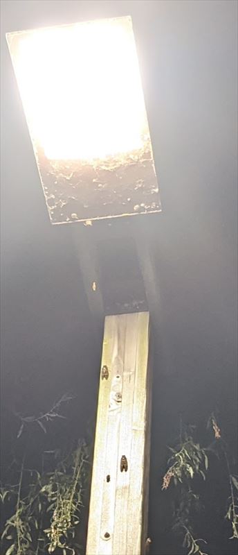 f:id:yoreyoreshogun:20210925173756j:plain