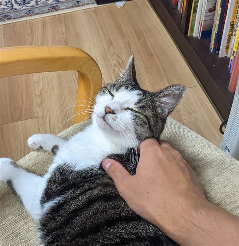 f:id:yoreyoreshogun:20210925173816j:plain