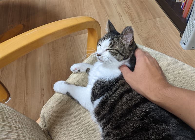 f:id:yoreyoreshogun:20210925173819j:plain