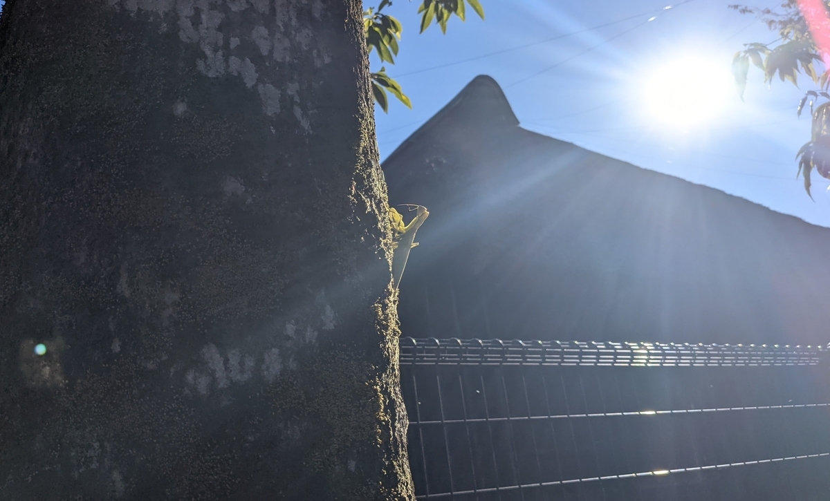 f:id:yoreyoreshogun:20220115144304j:plain