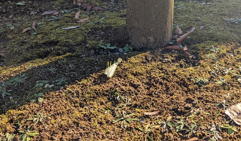 f:id:yoreyoreshogun:20220115150048j:plain