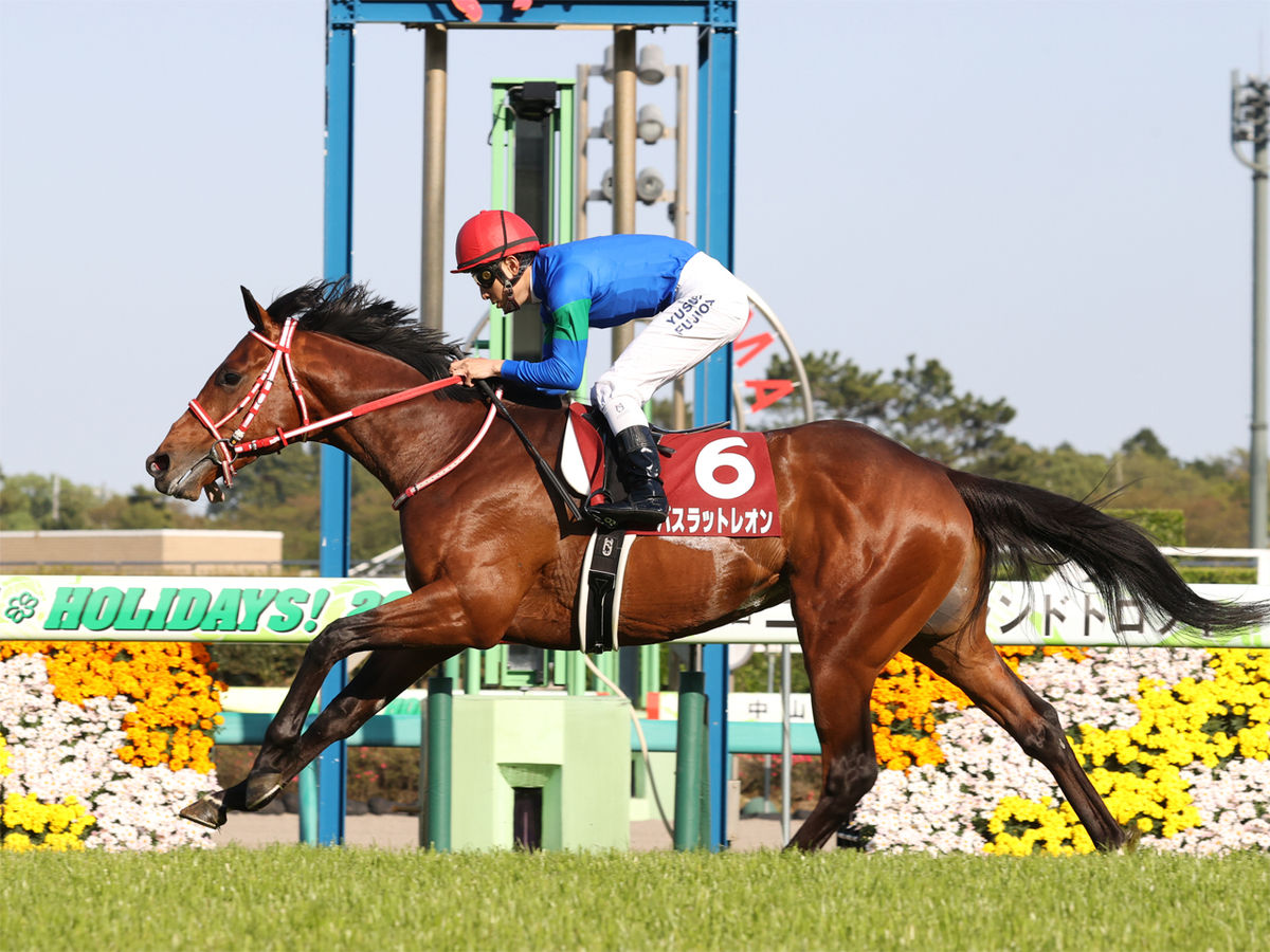 f:id:yori4225:20210425111940j:plain