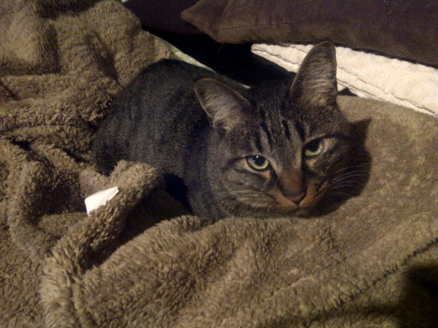 f:id:yoricafe:20111213231206j:image