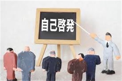 f:id:yorimaru:20240331002639j:image f:id:yorimaru:20240331002639j:image