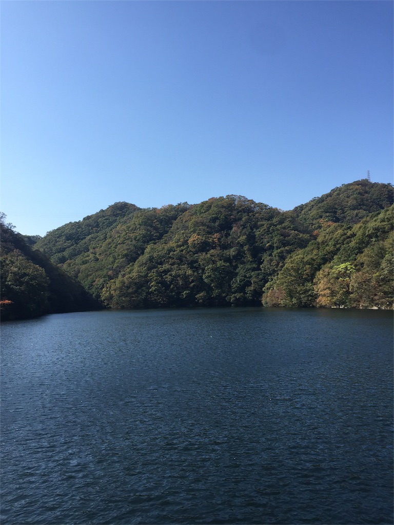 f:id:yorimichiphoto:20171129081054j:image f:id:yorimichiphoto:20171129081054j:image